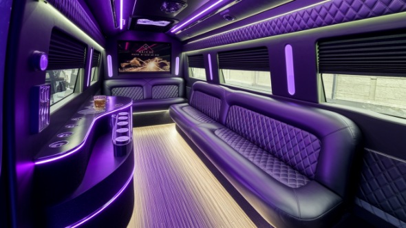 visalia party bus rental rental
