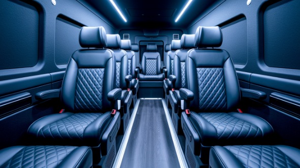 visalia sprinter van with driver rental